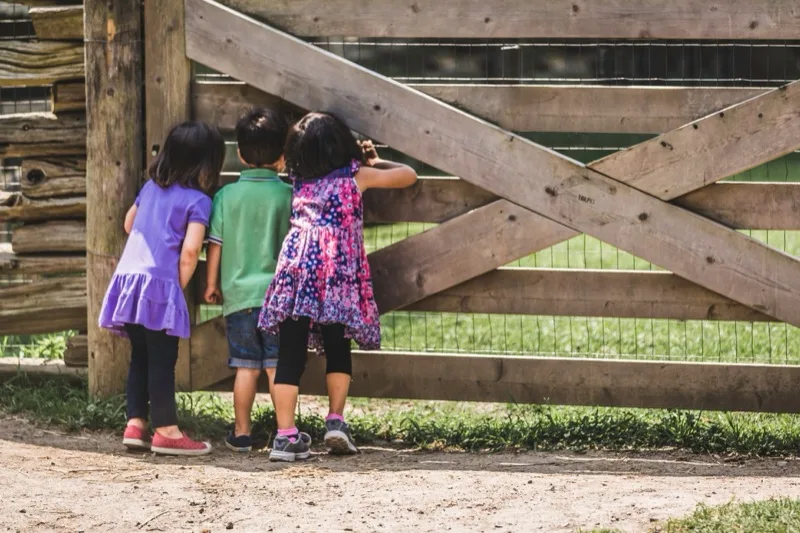 Bebek ve Çocuk Ürünleri